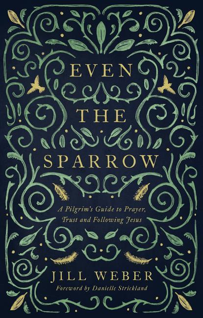 Cover: 9781910012710 | Even the Sparrow | Jill Weber | Taschenbuch | Kartoniert / Broschiert