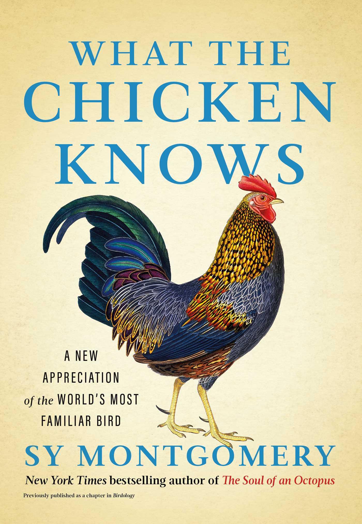 Cover: 9781668047361 | What the Chicken Knows | Sy Montgomery | Buch | Englisch | 2024