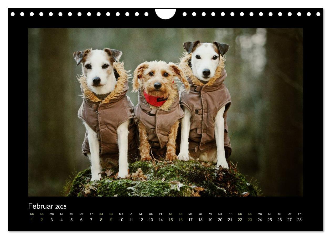 Bild: 9783435641529 | Die Parsons (Wandkalender 2025 DIN A4 quer), CALVENDO Monatskalender