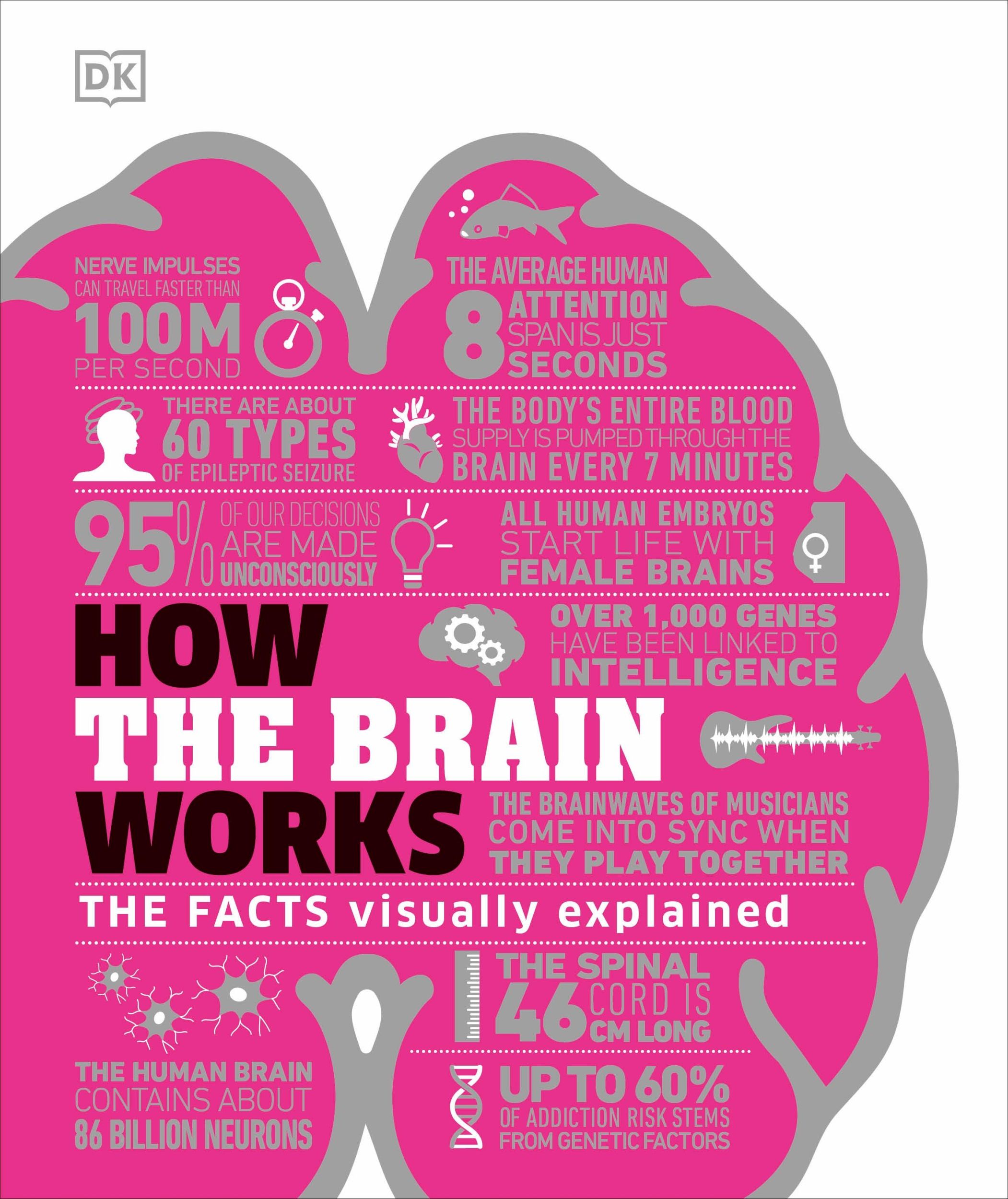 Cover: 9780241403372 | How the Brain Works | The Facts Visually Explained | DK | Buch | 2020