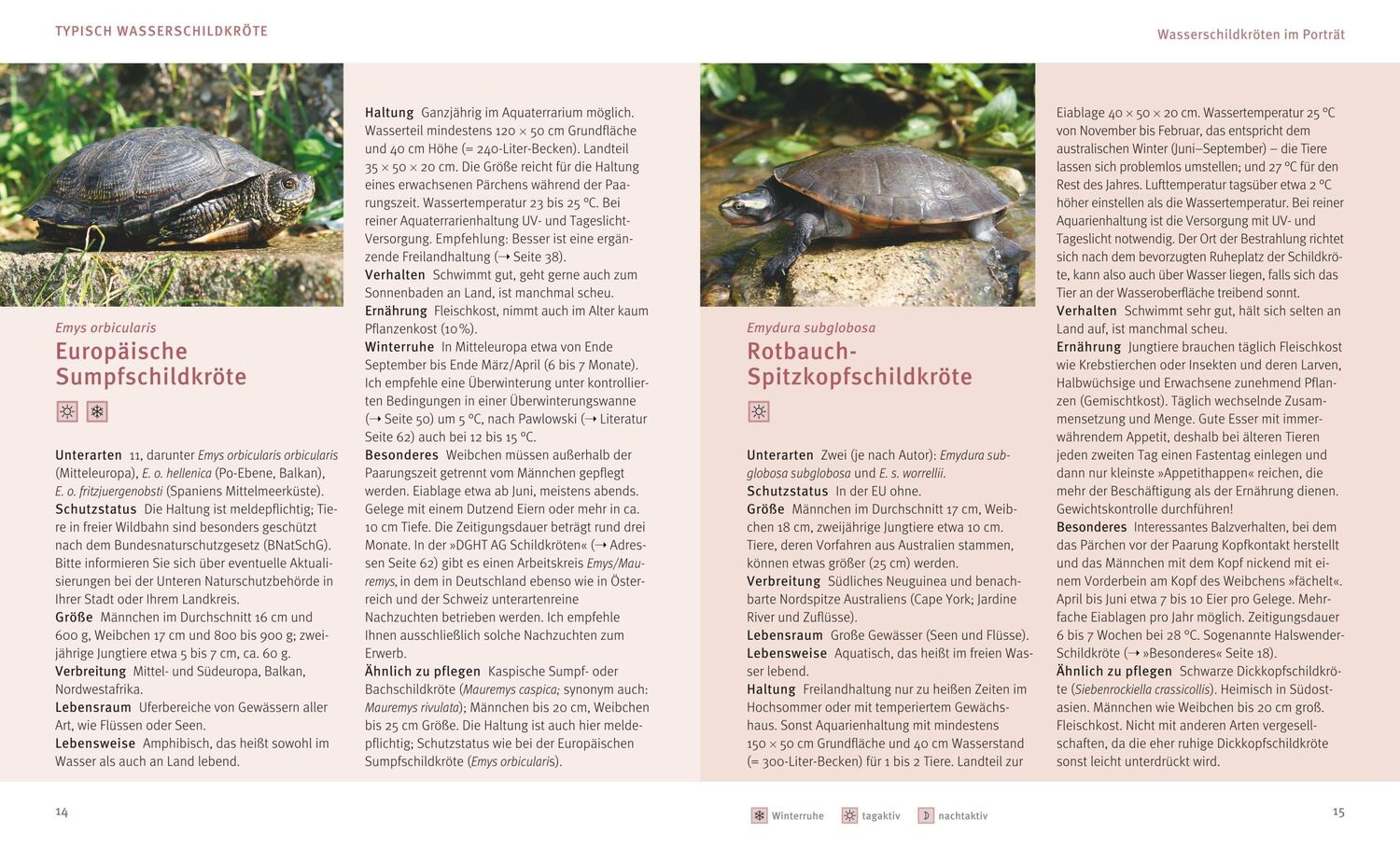 Bild: 9783833855146 | Wasserschildkröten | Wohlfühl-Basics für urtümliche Riesen | Wilke