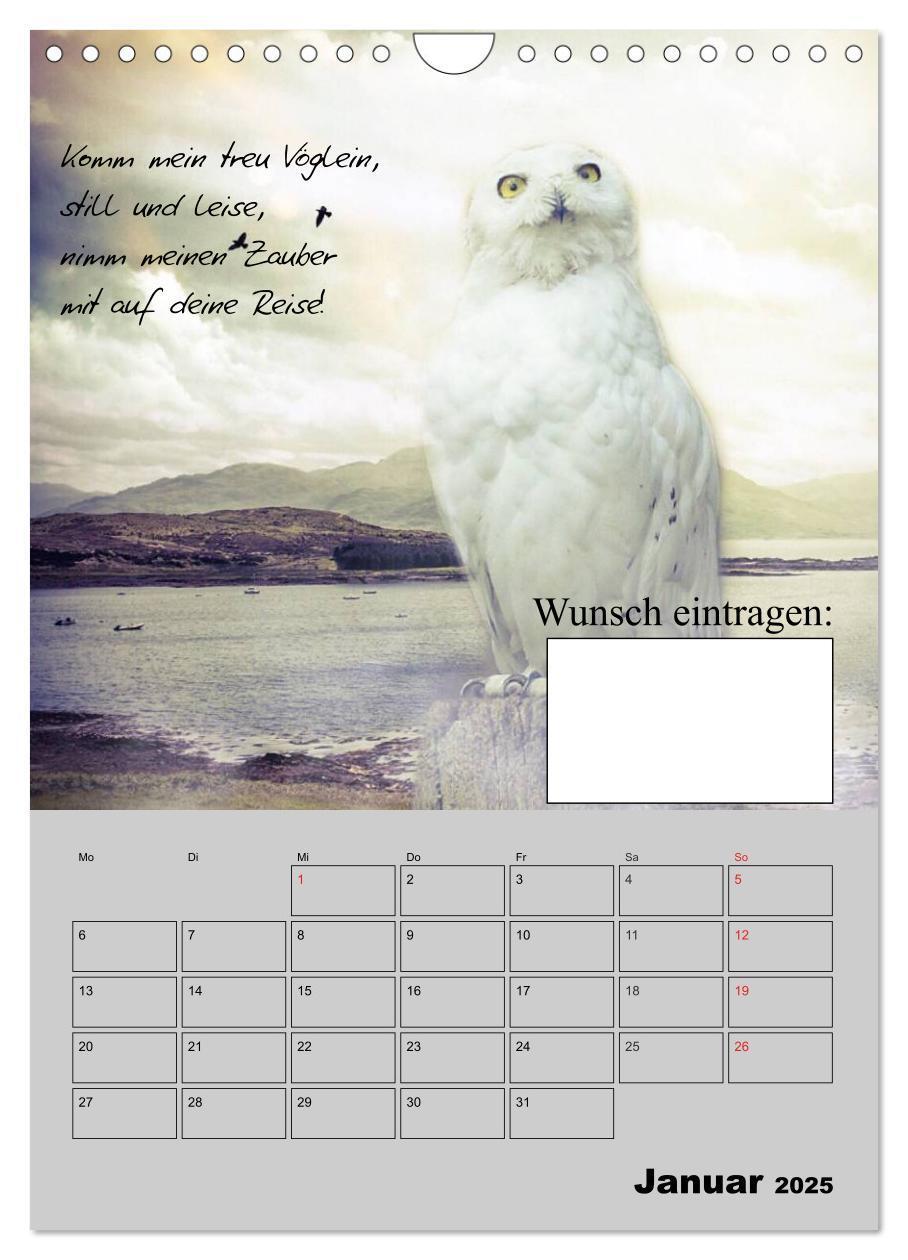 Bild: 9783457018576 | Wunsch- und Zauberkalender (Wandkalender 2025 DIN A4 hoch),...