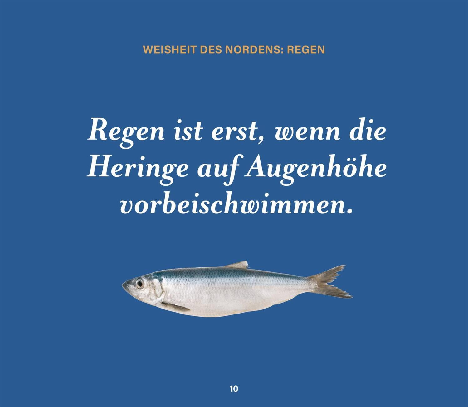 Bild: 9783830364139 | Das große Buch MOIN - Alles über Krabben, Klönschnack &amp; Kultur aus...