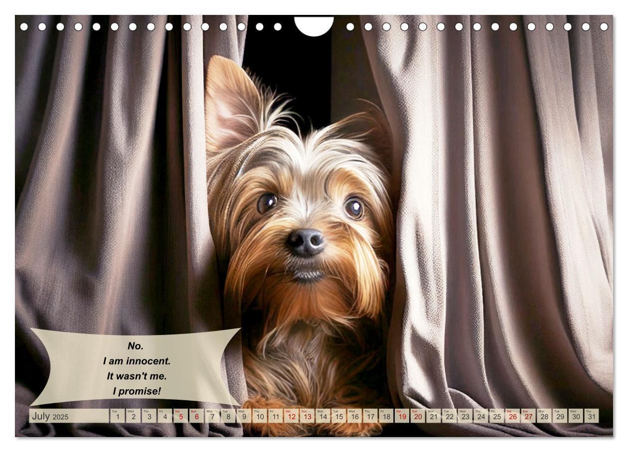 Bild: 9781325986002 | Great fun for Yorkshire Terrier lovers (Wall Calendar 2025 DIN A4...