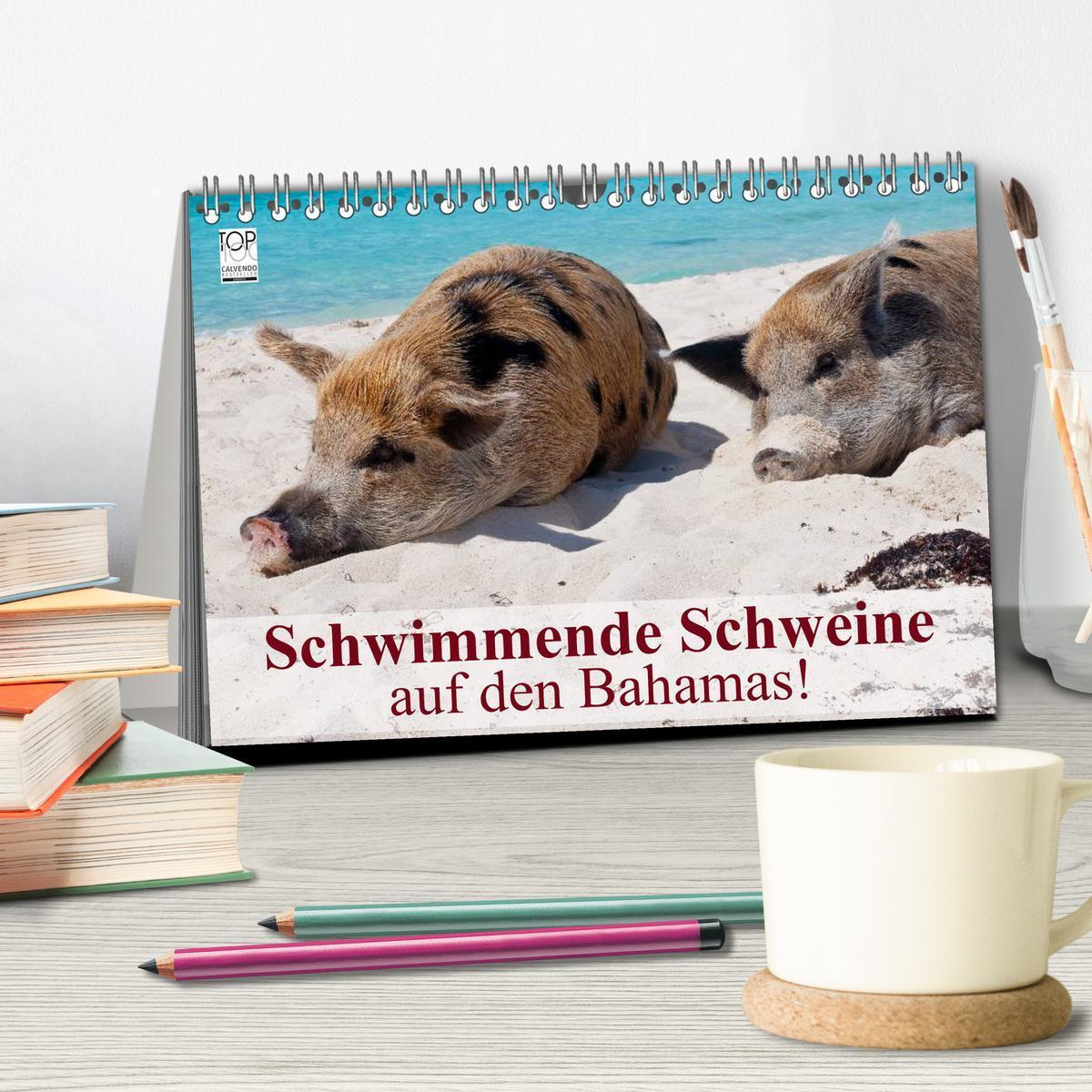 Bild: 9783435738816 | Schwimmende Schweine auf den Bahamas! (Tischkalender 2025 DIN A5...