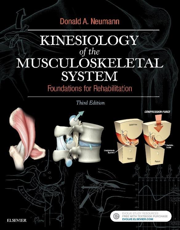 Cover: 9780323287531 | Kinesiology of the Musculoskeletal System | Donald A. Neumann | Buch
