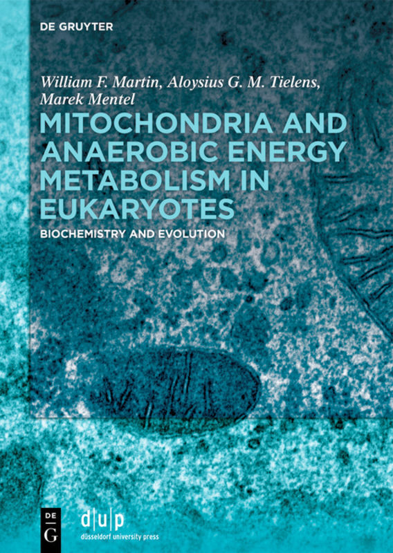 Cover: 9783110666779 | Mitochondria and Anaerobic Energy Metabolism in Eukaryotes | Buch