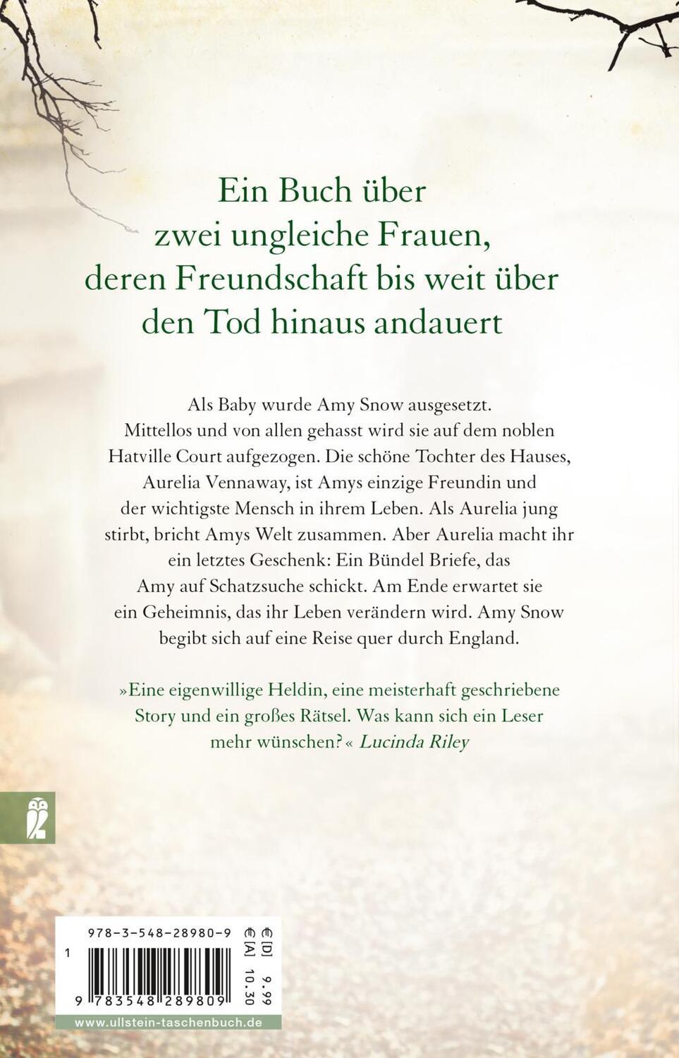 Rückseite: 9783548289809 | Die Reise der Amy Snow | Tracy Rees | Taschenbuch | 496 S. | Deutsch