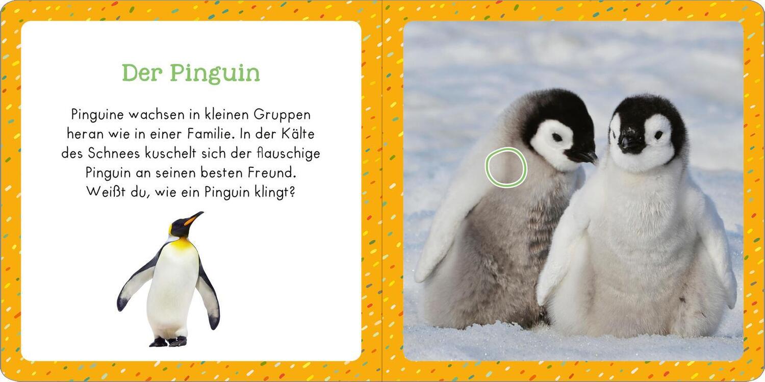 Bild: 9783845858531 | Soundbuch für Klitzekleine - Tiere im Winter | Buch | 12 S. | Deutsch