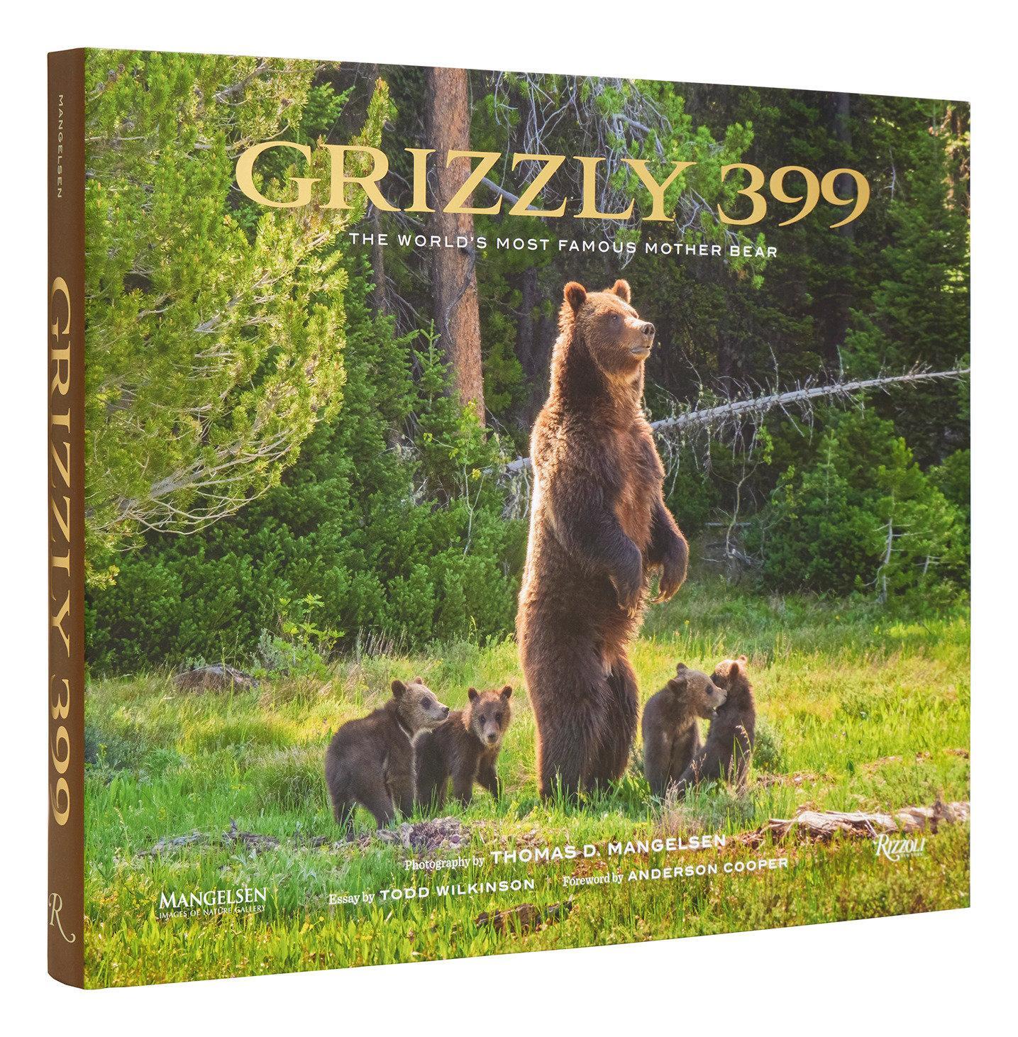 Cover: 9780847899241 | Grizzly 399 | World's Most Famous Mother Bear, The | Mangelsen (u. a.)