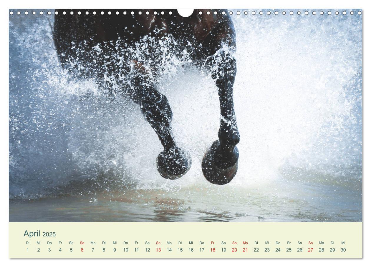 Bild: 9783435215614 | PFERDE &amp; MEER (Wandkalender 2025 DIN A3 quer), CALVENDO Monatskalender