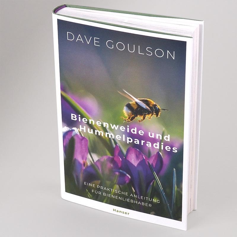 Bild: 9783446269293 | Bienenweide und Hummelparadies | Dave Goulson | Buch | Deutsch | 2021