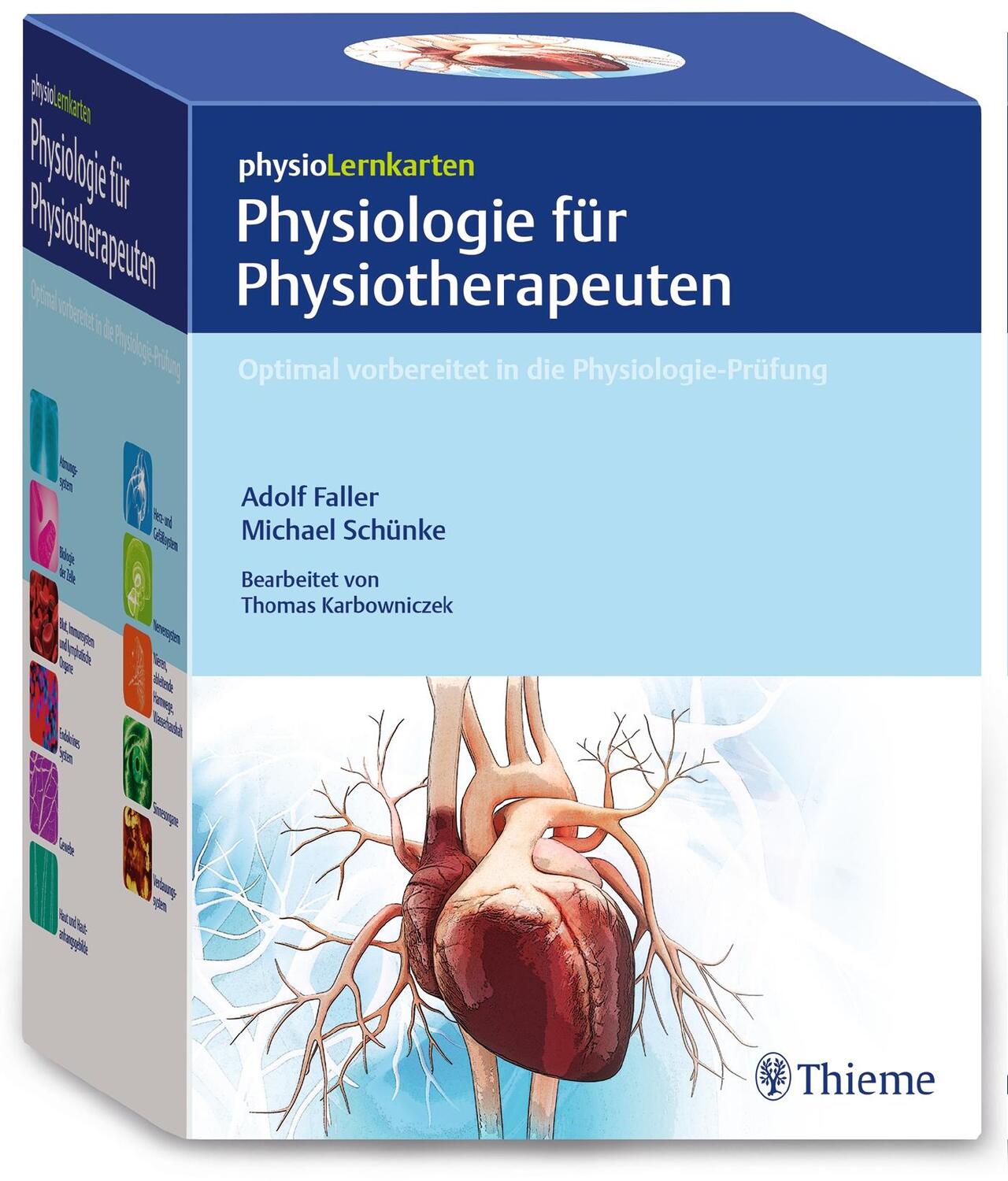 Cover: 9783132420502 | physioLernkarten - Physiologie für Physiotherapeuten | Box | Deutsch