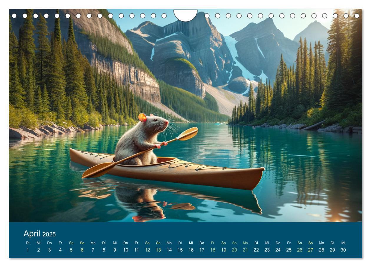 Bild: 9783383768606 | Abenteuerliche Ratten (Wandkalender 2025 DIN A4 quer), CALVENDO...