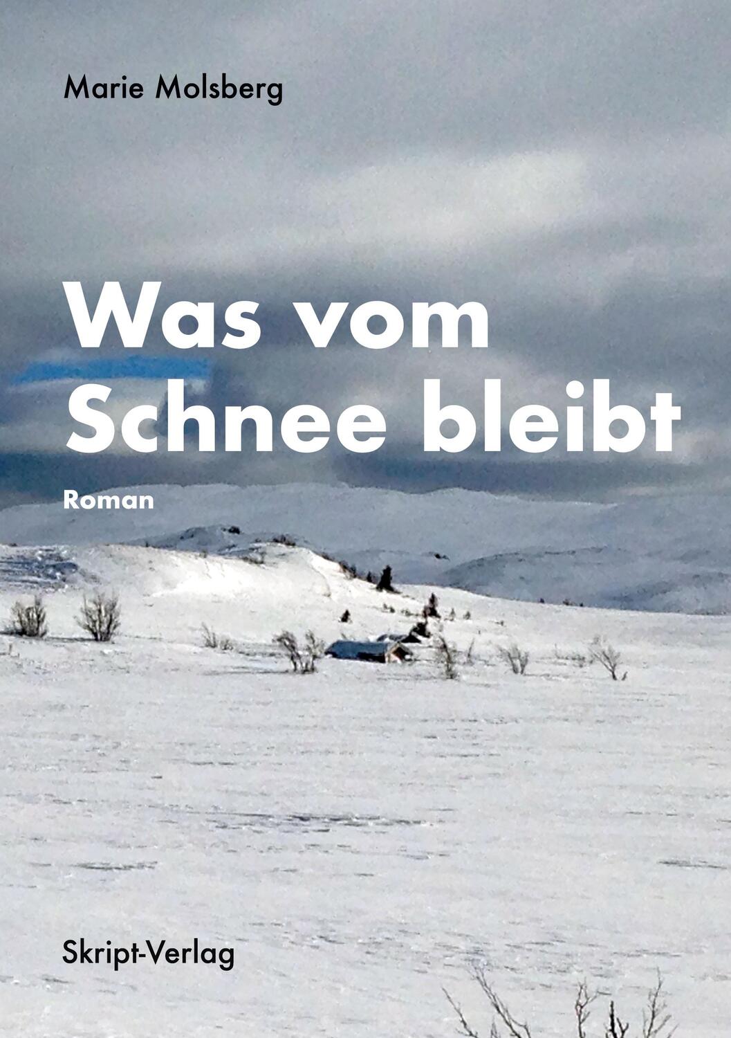 Cover: 9783928249331 | Was vom Schnee bleibt | Roman | Marie Molsberg | Taschenbuch | Deutsch