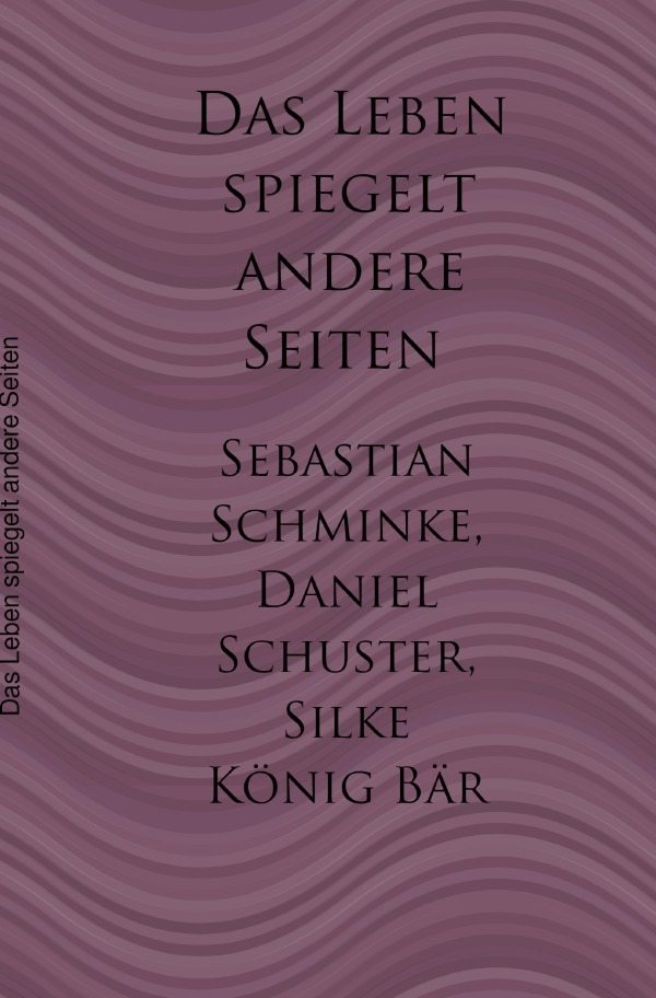 Cover: 9783753124827 | Das Leben spiegelt andere Seiten | Sebastian Schminke (u. a.) | Buch