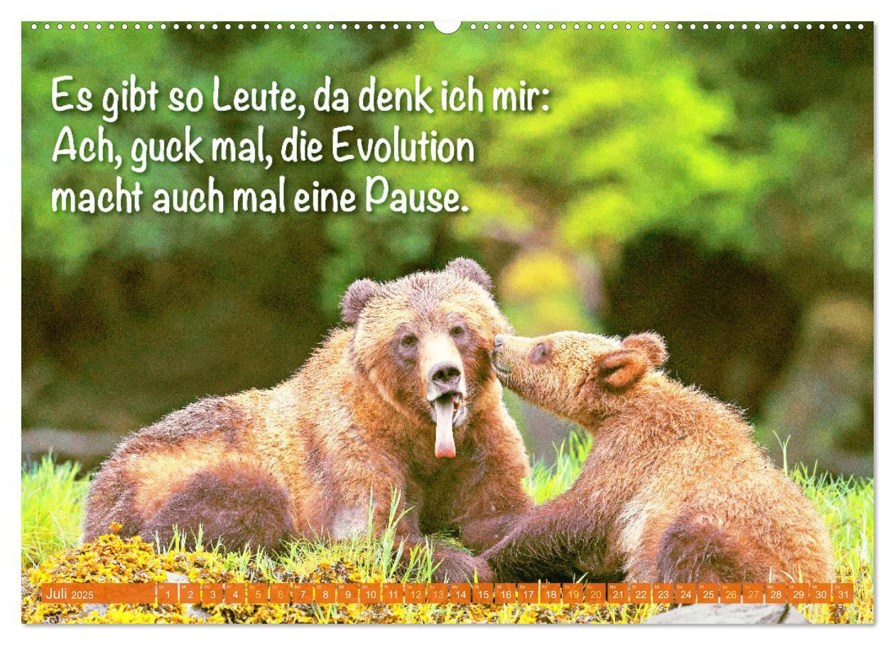 Bild: 9783383881398 | Spaß mit Bären: Edition lustige Tiere (Wandkalender 2025 DIN A2...