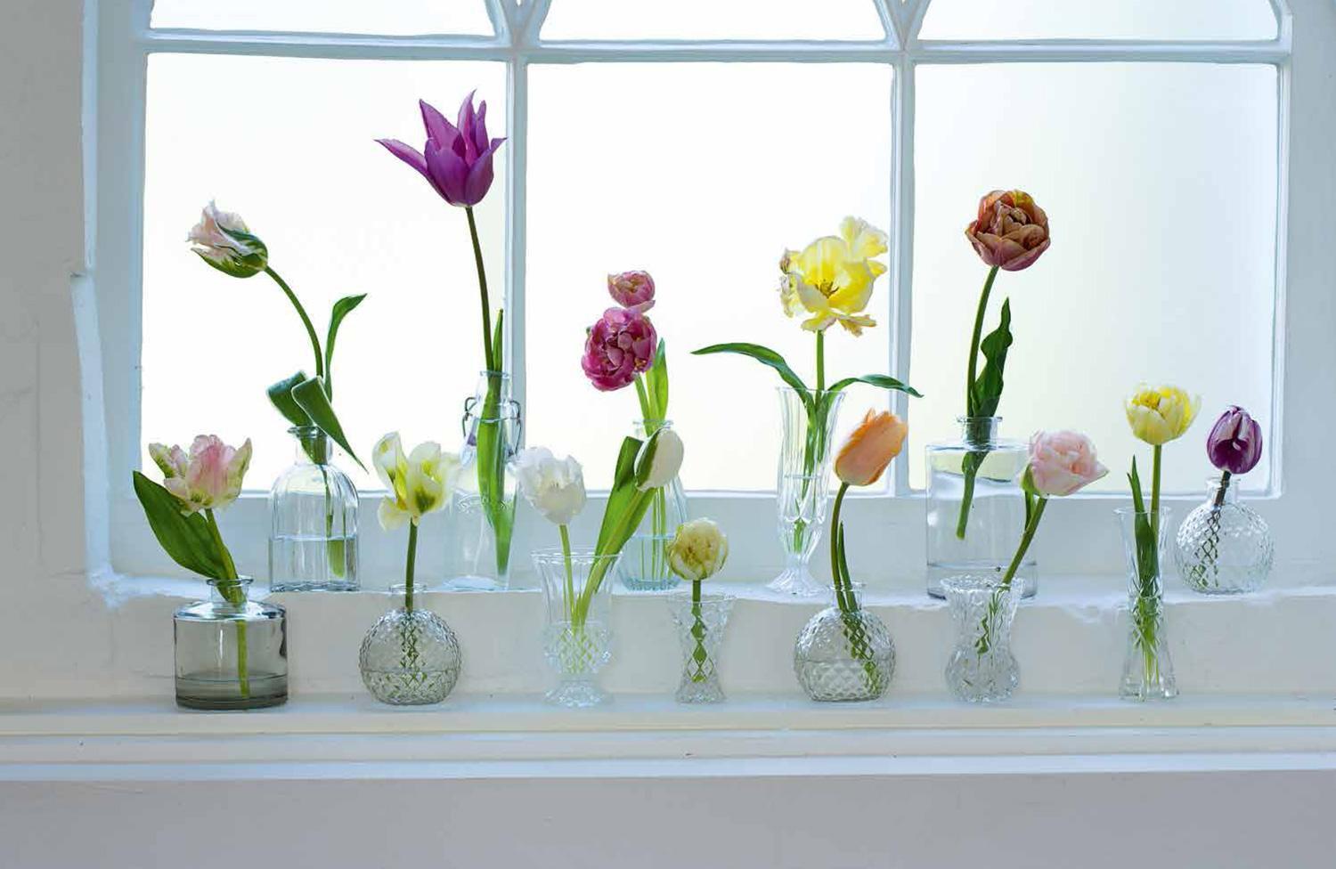 Bild: 9781911624288 | Tulips | Beautiful varieties for home and garden | Jane Eastoe | Buch