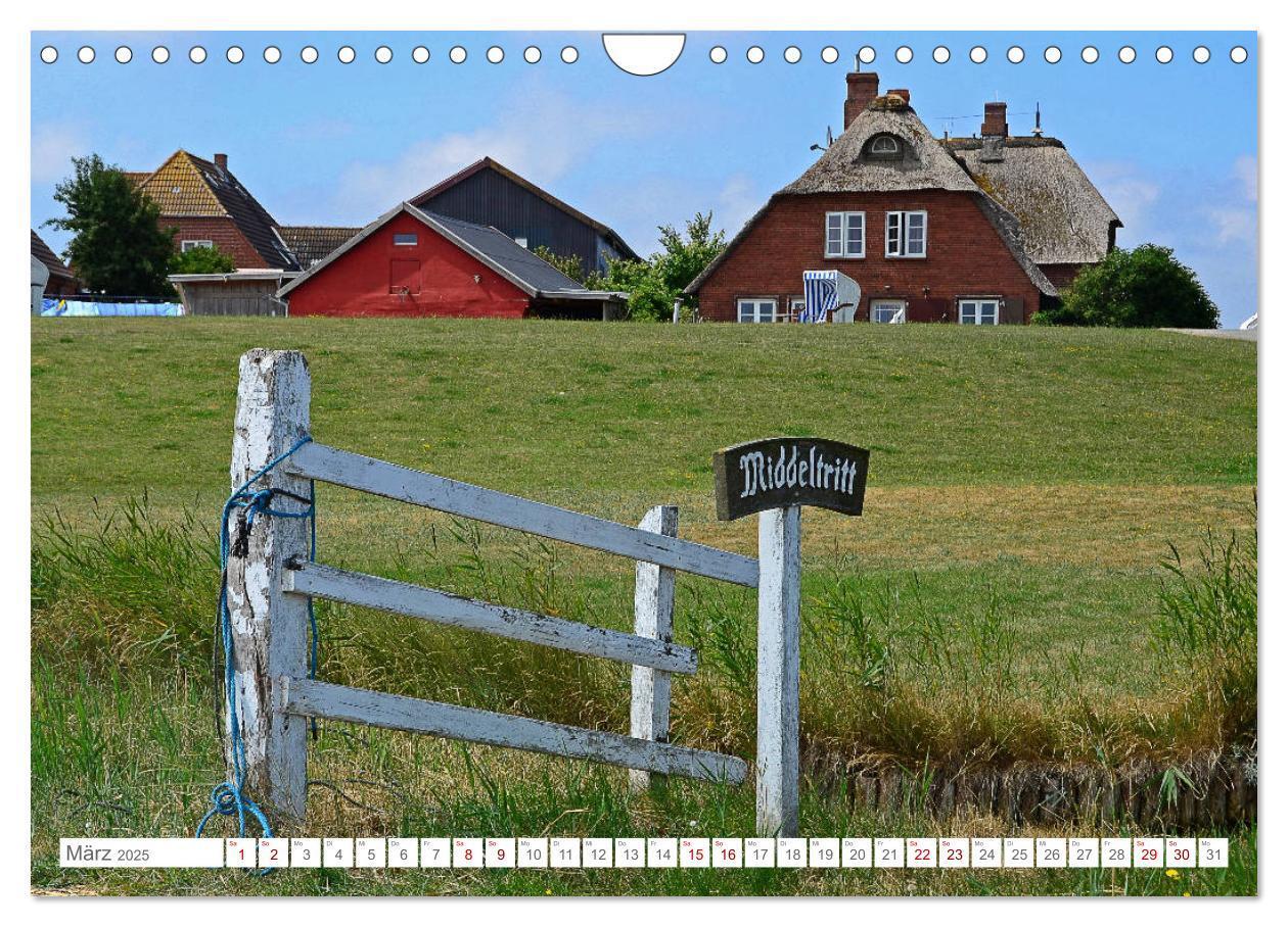 Bild: 9783435257249 | Sommertage auf Hallig Hooge (Wandkalender 2025 DIN A4 quer),...