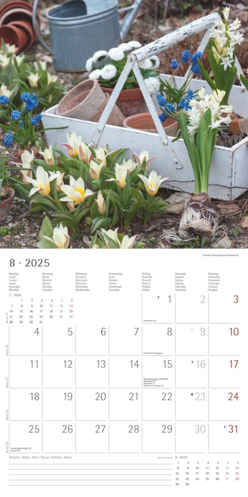 Bild: 4251732340636 | Alpha Edition - Garden &amp; Decoration 2025 Broschürenkalender,...