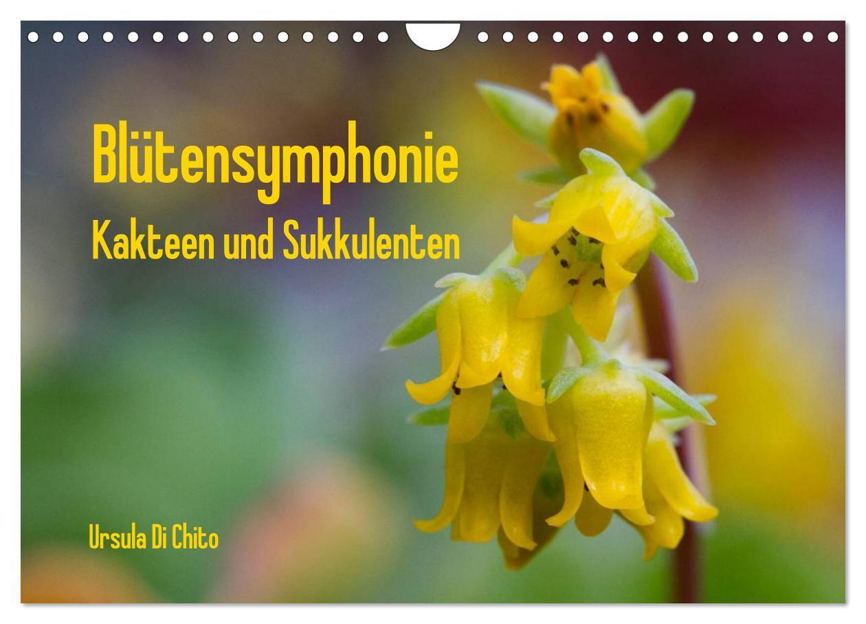 Cover: 9783383413650 | Blütensymphonie - Kakteen und Sukkulenten (Wandkalender 2024 DIN A4...