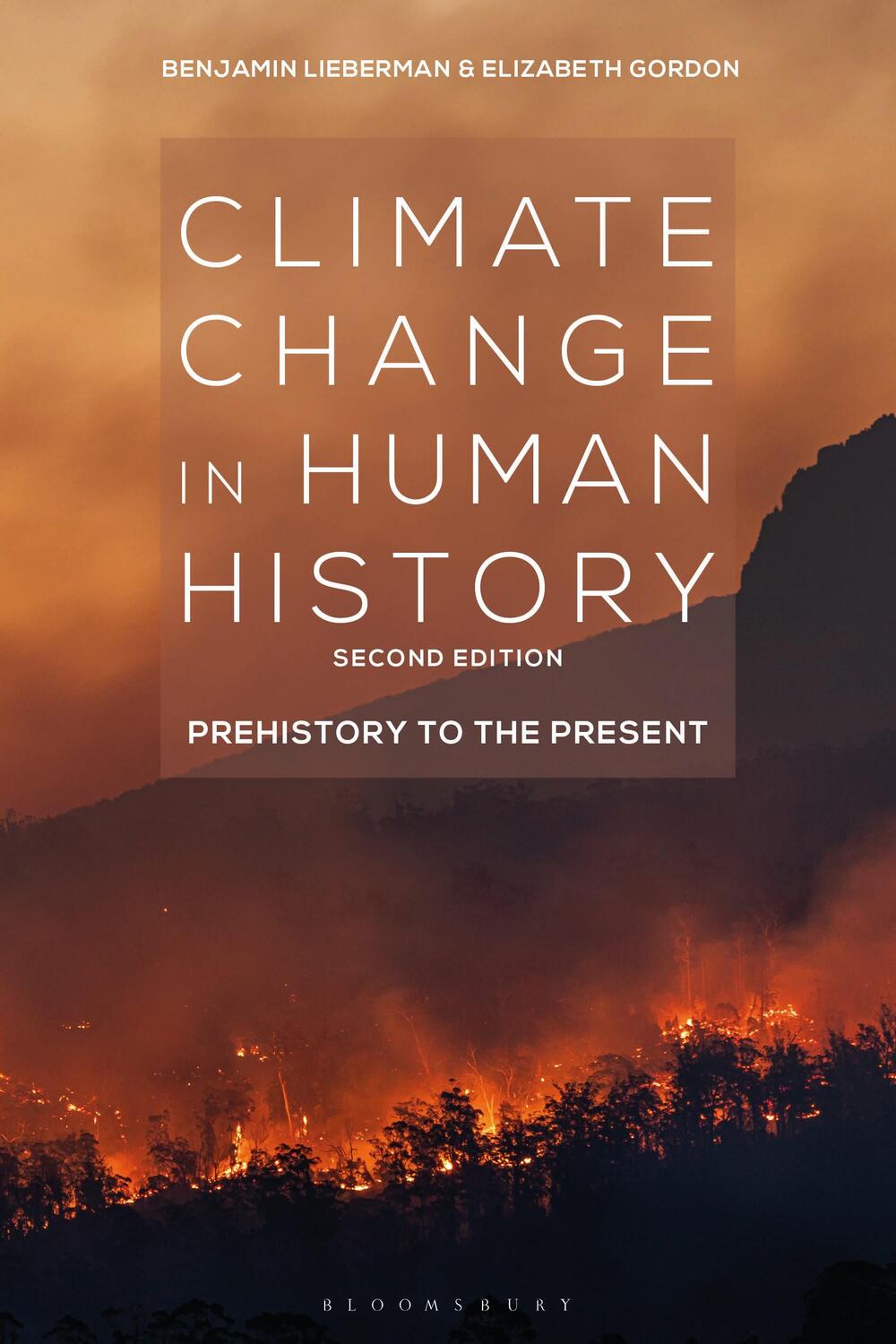 Cover: 9781350170339 | Climate Change in Human History | Prehistory to the Present | Buch