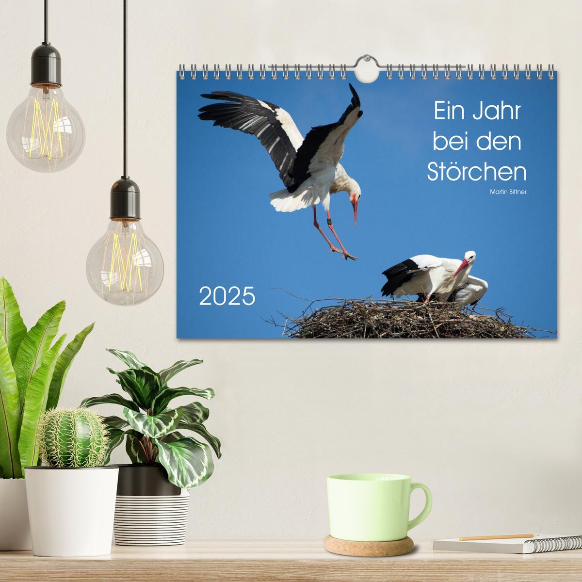 Bild: 9783435527823 | Ein Jahr bei den Störchen (Wandkalender 2025 DIN A4 quer), CALVENDO...