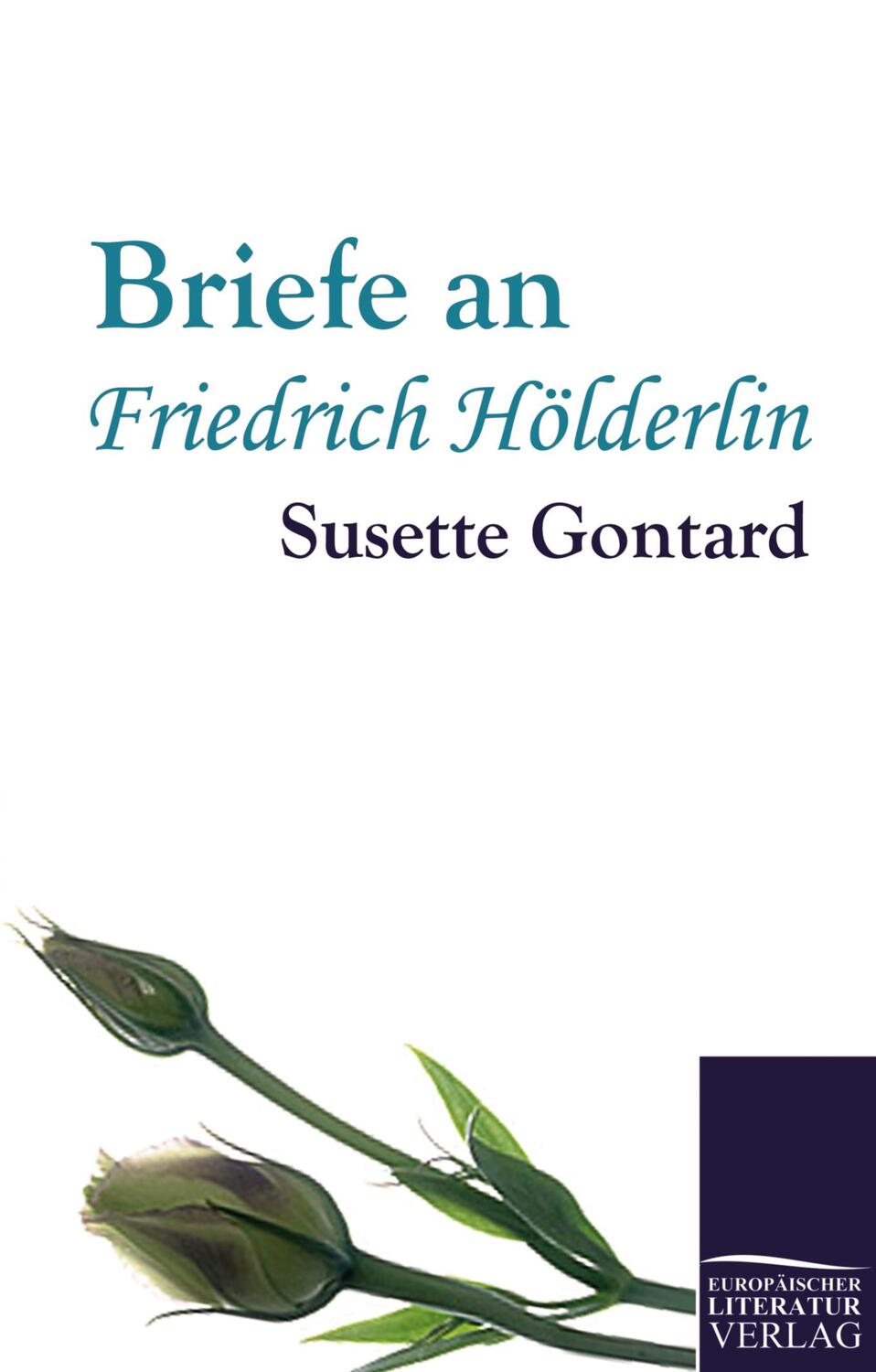 Cover: 9783862671045 | Briefe an Friedrich Hölderlin | Susette Gontard | Taschenbuch | 2021