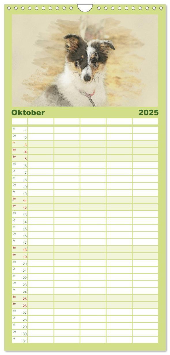 Bild: 9783457121177 | Familienplaner 2025 - Hundewelpen 2025 mit 5 Spalten (Wandkalender,...