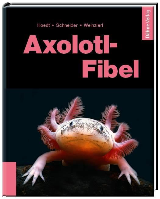Cover: 9783944821153 | Axolotl-Fibel | Ein Exot erobert unsere Aquarien | Hoedt (u. a.)