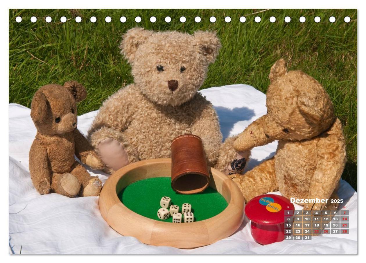 Bild: 9783435575251 | Geliebte Bären - Teddys (Tischkalender 2025 DIN A5 quer), CALVENDO...