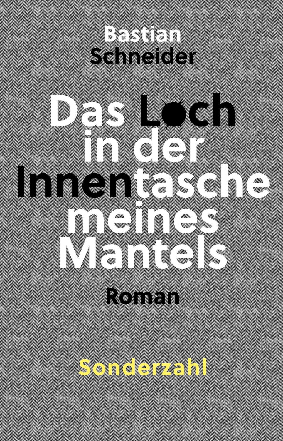 Cover: 9783854496069 | Das Loch in der Innentasche meines Mantels | Bastian Schneider | Buch