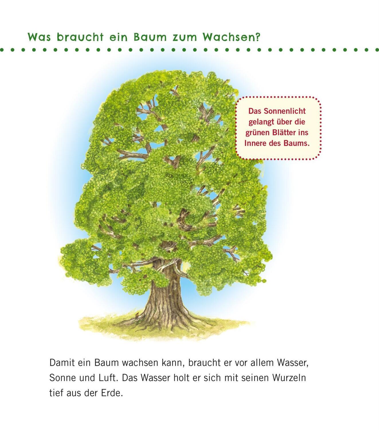 Bild: 9783551036087 | Unkaputtbar: Erstes Wissen: Im Wald | Petra Klose | Taschenbuch | 2020