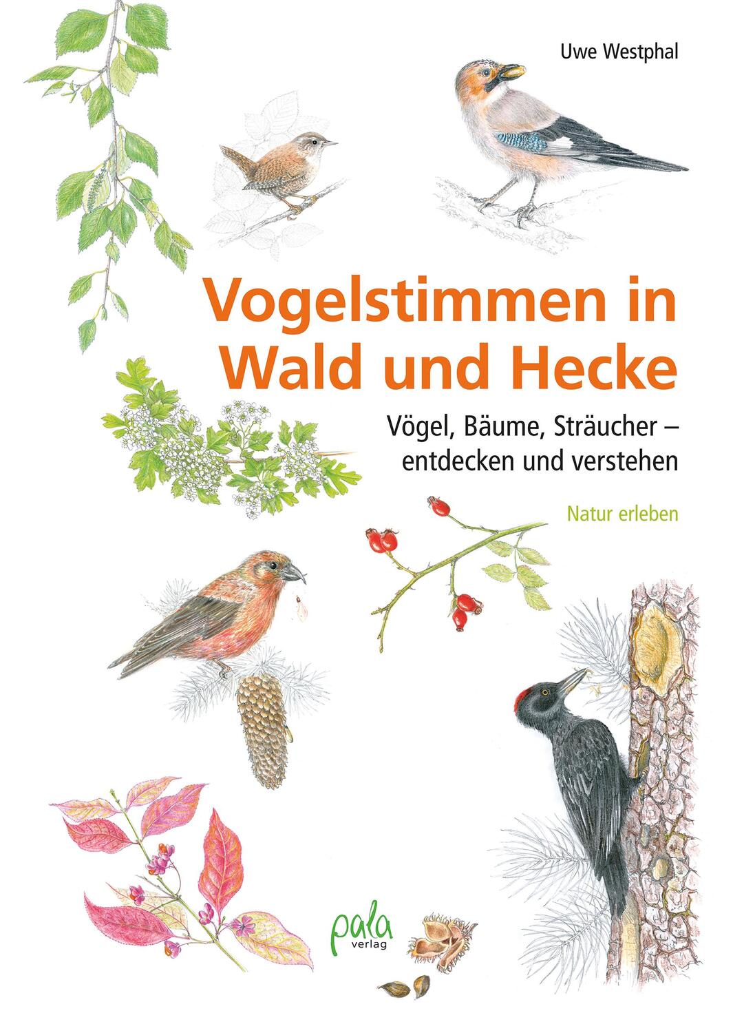 Cover: 9783895664168 | Vogelstimmen in Wald und Hecke | Uwe Westphal | Buch | 184 S. | 2022