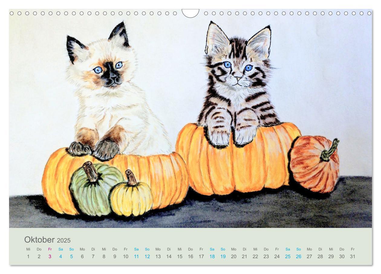 Bild: 9783435097487 | KATZEN PortraiTierART (Wandkalender 2025 DIN A3 quer), CALVENDO...