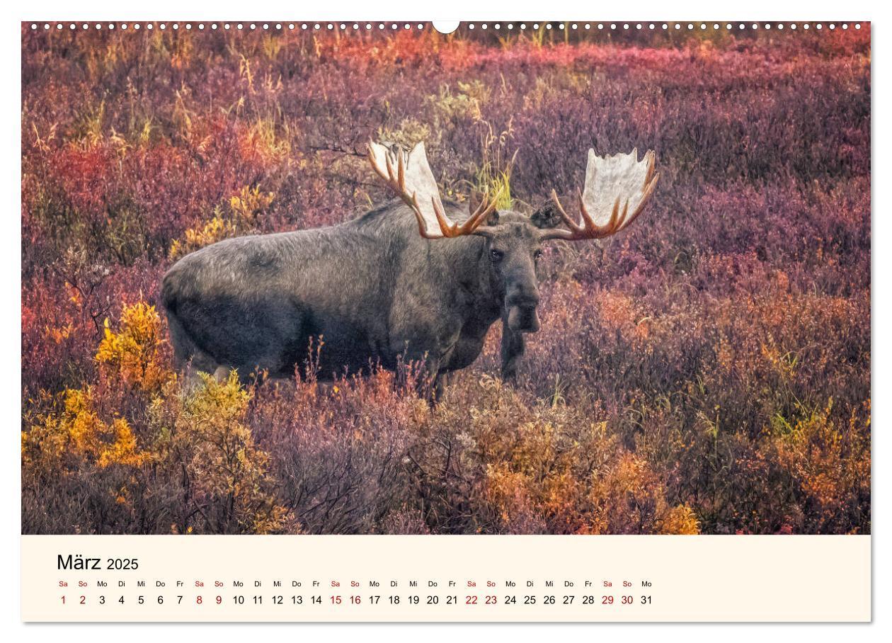 Bild: 9783435128129 | Der Elch - König des Nordens (hochwertiger Premium Wandkalender...