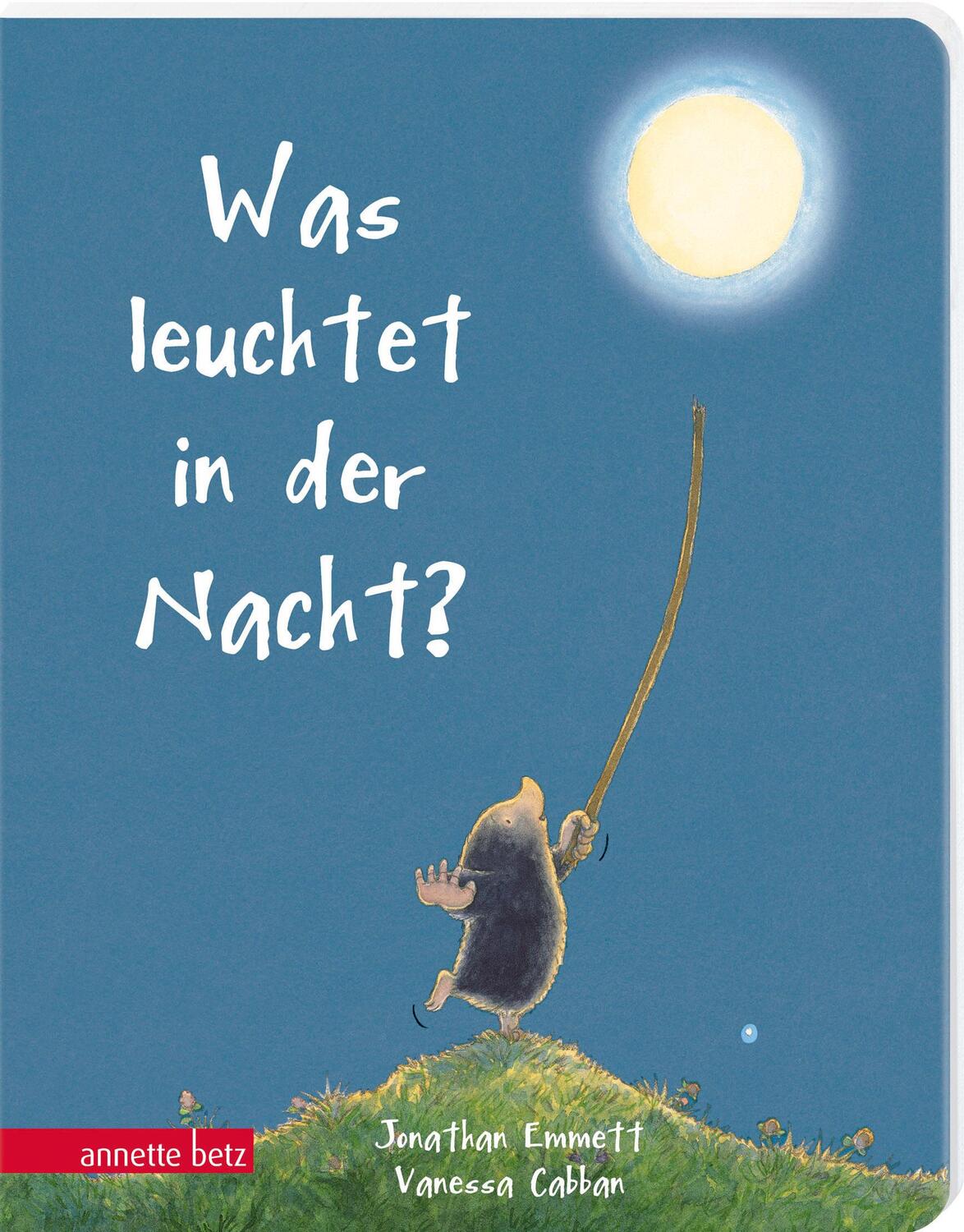 Cover: 9783219120103 | Was leuchtet in der Nacht? | Jonathan Emmett | Buch | 24 S. | Deutsch