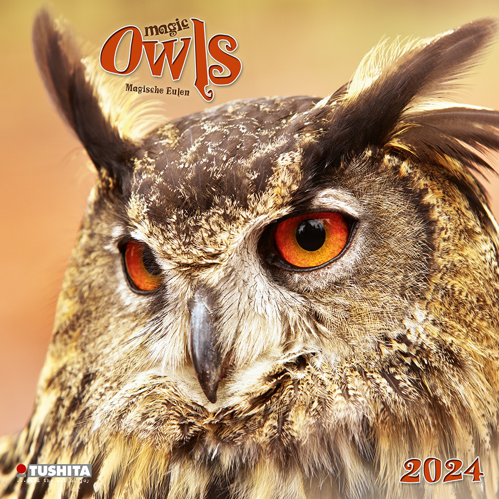 Cover: 9783959292528 | Magic Owls 2024 | Kalender 2024 | Kalender | Drahtheftung | 28 S.