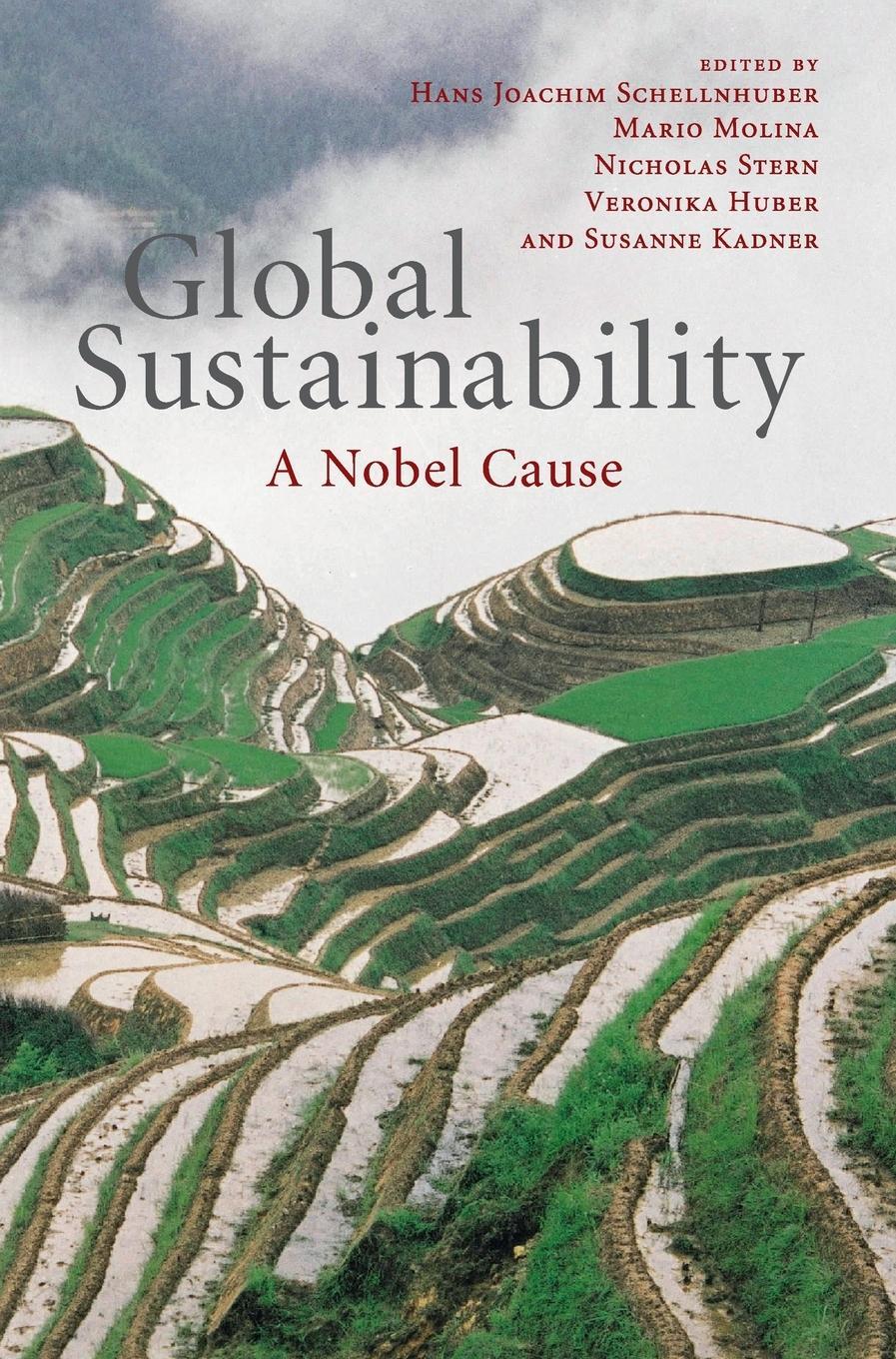 Cover: 9780521769341 | Global Sustainability | Nicholas Stern | Buch | Englisch | 2010