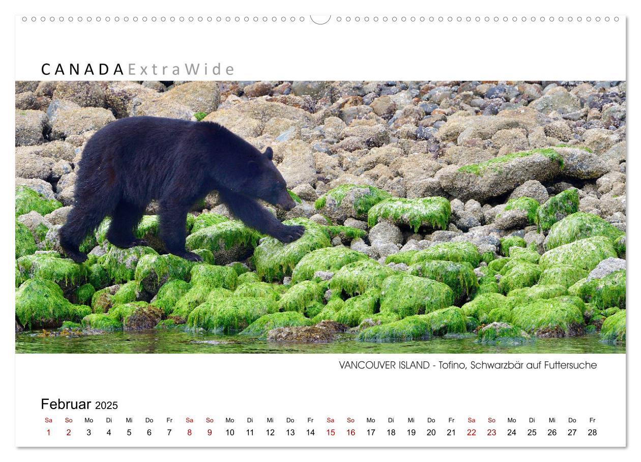 Bild: 9783383791321 | Vancouver Island Panoramabilder (Wandkalender 2025 DIN A2 quer),...