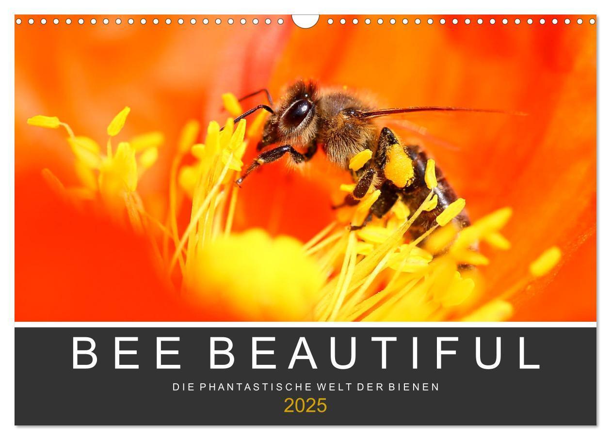 Cover: 9783435051809 | Bee Beautiful - Die phantastische Welt der Bienen (Wandkalender...