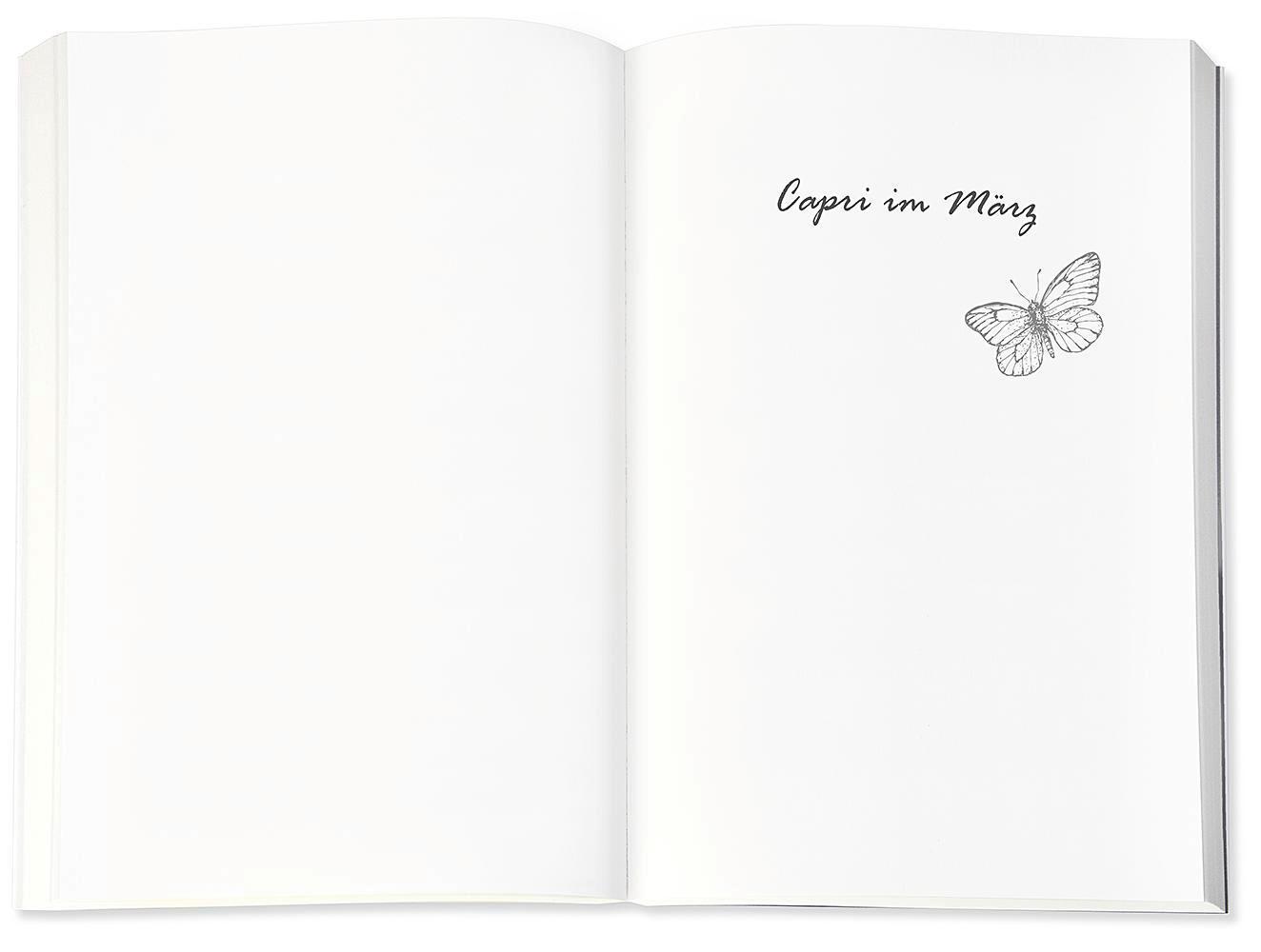 Bild: 9783426525128 | Der Schmetterlingsgarten | Roman | Marie Matisek | Taschenbuch | 2020