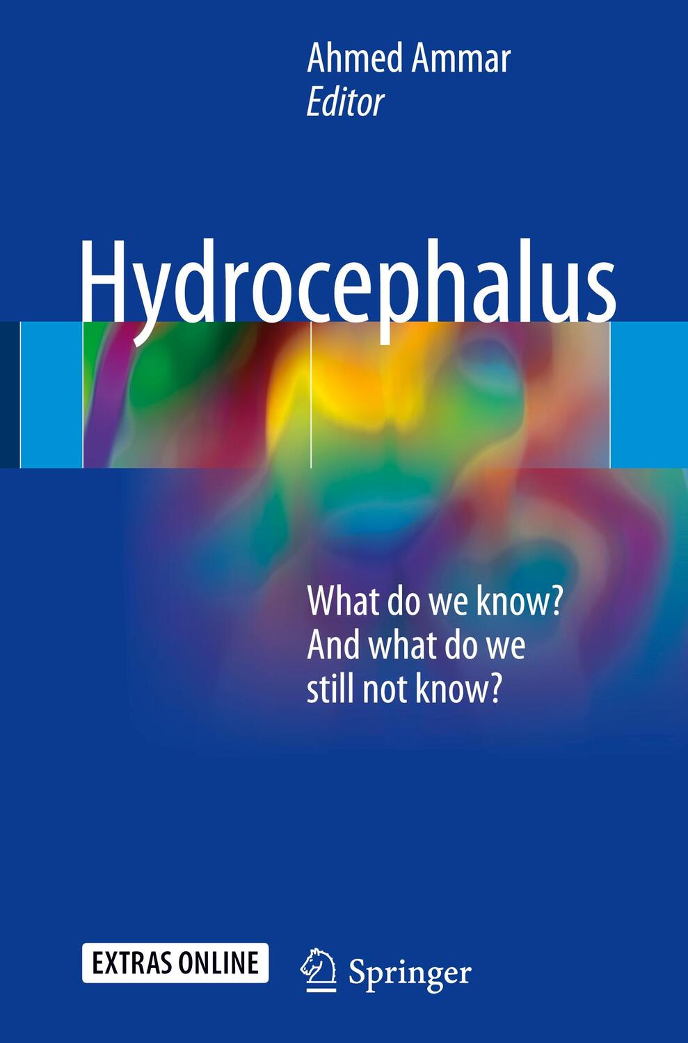 Cover: 9783319613031 | Hydrocephalus | What do we know? And what do we still not know? | Buch