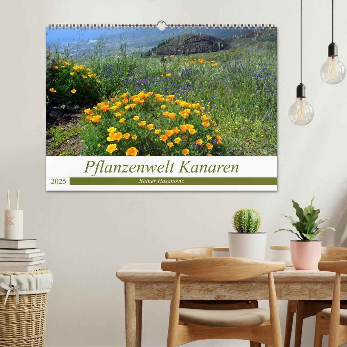 Bild: 9783435430314 | Pflanzenwelt Kanaren (Wandkalender 2025 DIN A2 quer), CALVENDO...