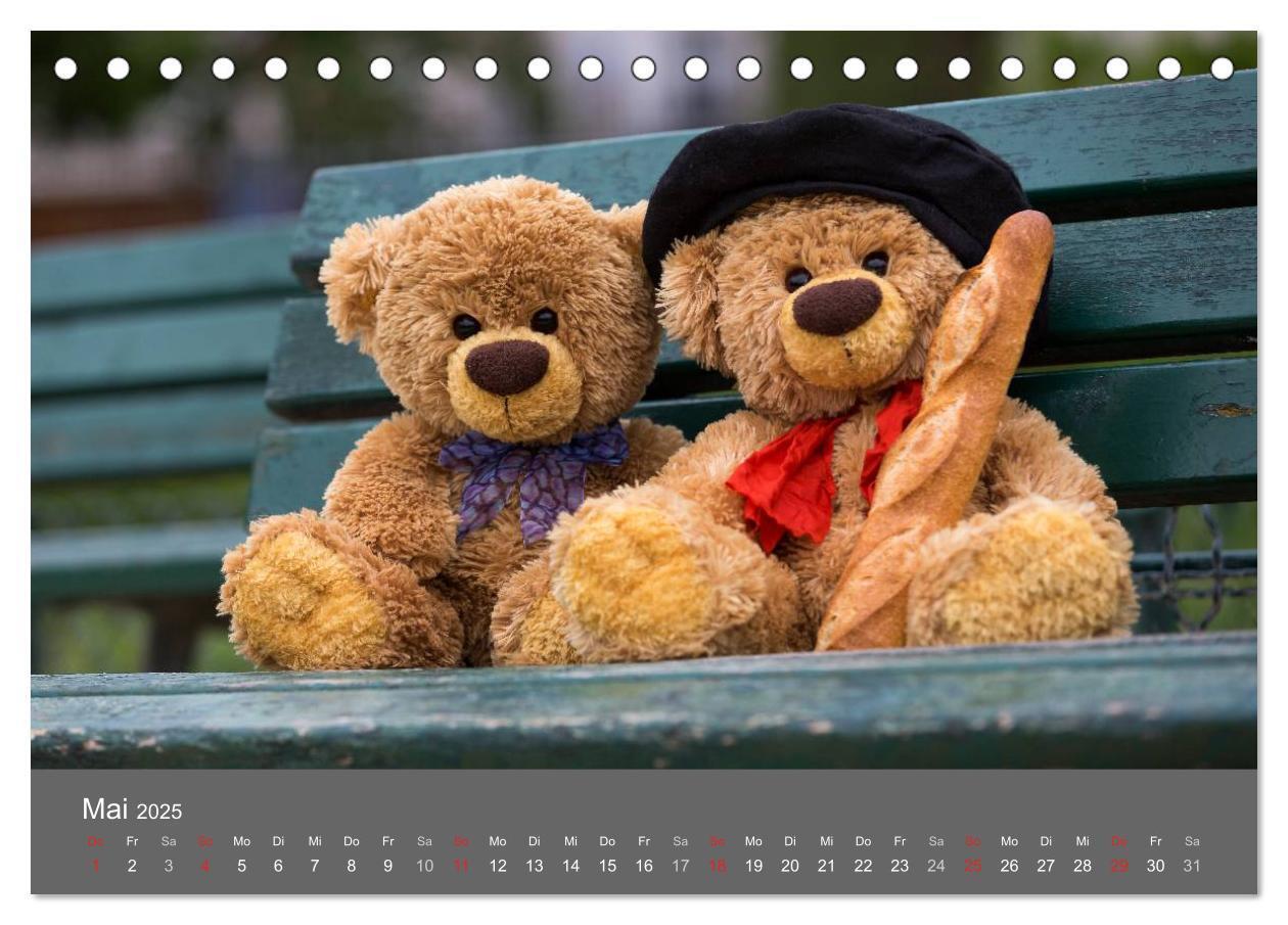 Bild: 9783435502172 | Travelling Teddy 2025 (Tischkalender 2025 DIN A5 quer), CALVENDO...