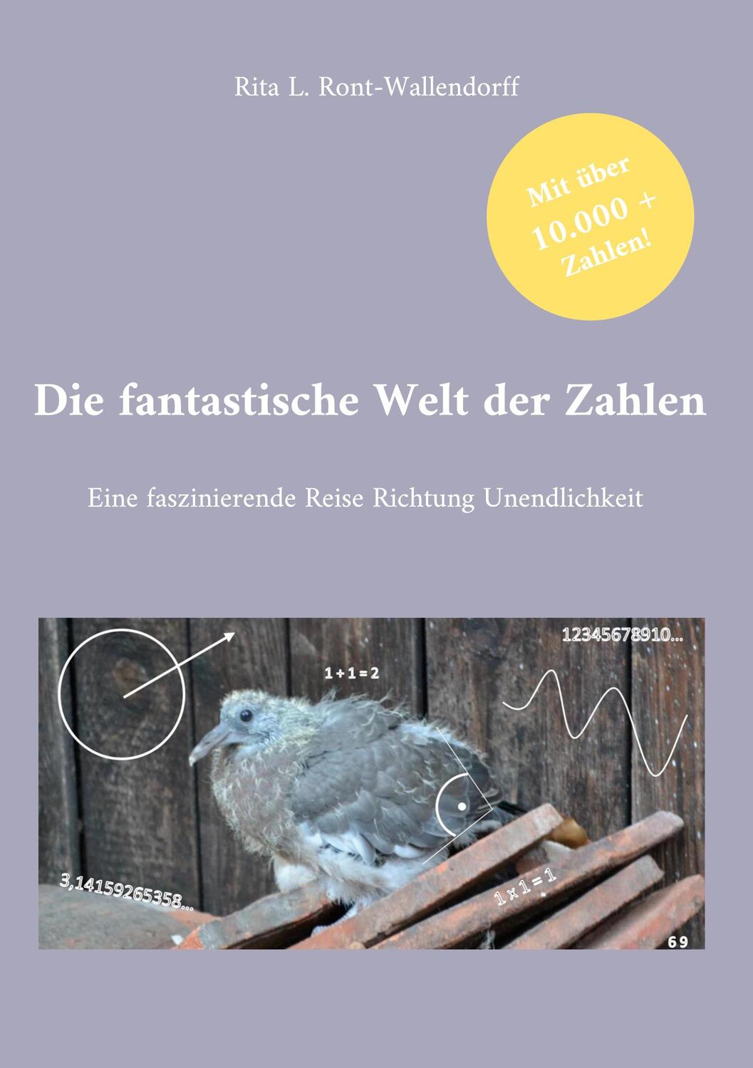 Cover: 9783756232307 | Die fantastische Welt der Zahlen | Rita L. Ront-Wallendorff | Buch