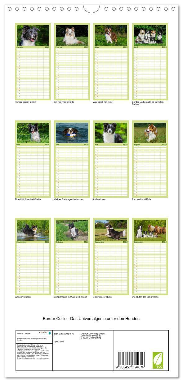 Bild: 9783457194676 | Familienplaner 2025 - Border Collie - Das Universalgenie unter den...