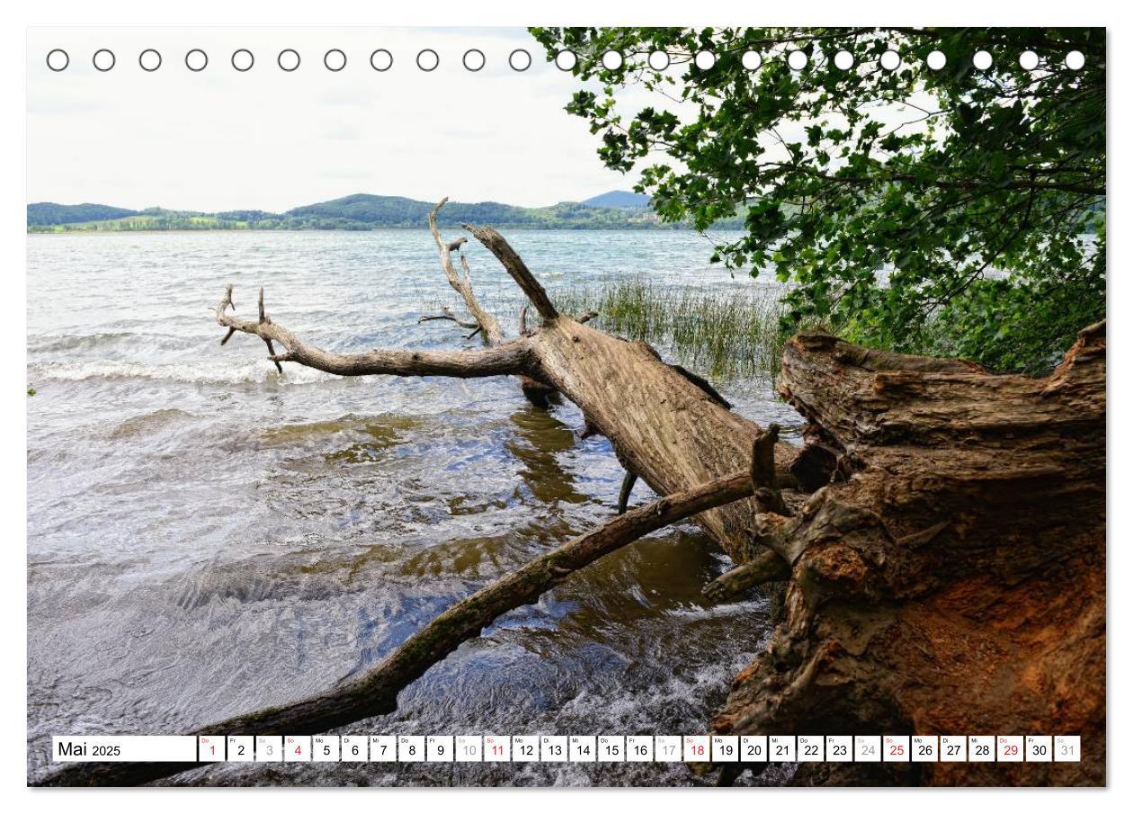 Bild: 9783435455447 | Naturlandschaft Laacher See (Tischkalender 2025 DIN A5 quer),...