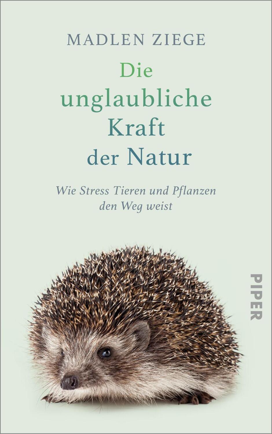Cover: 9783492071369 | Die unglaubliche Kraft der Natur | Madlen Ziege | Buch | Deutsch