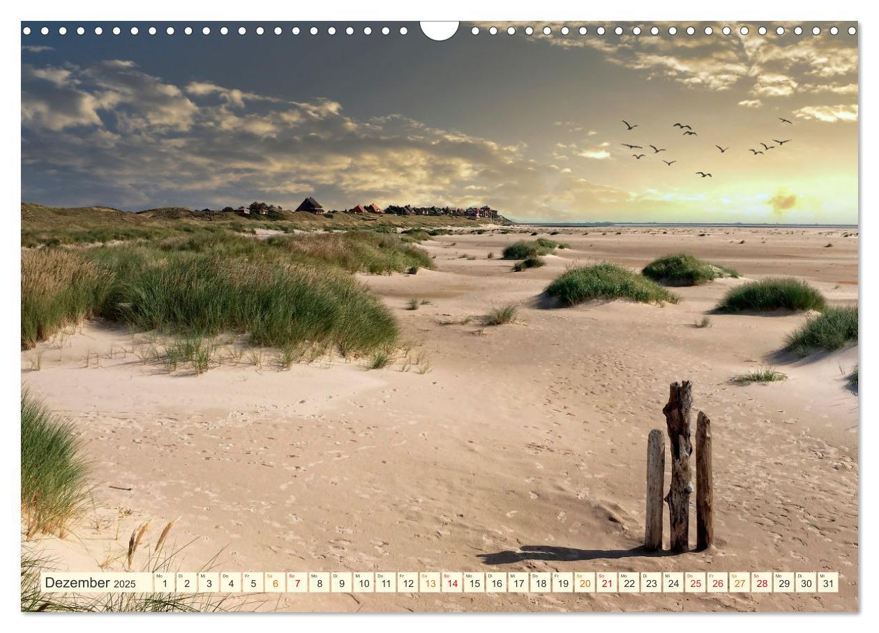 Bild: 9783435070145 | Geliebte Nordsee (Wandkalender 2025 DIN A3 quer), CALVENDO...